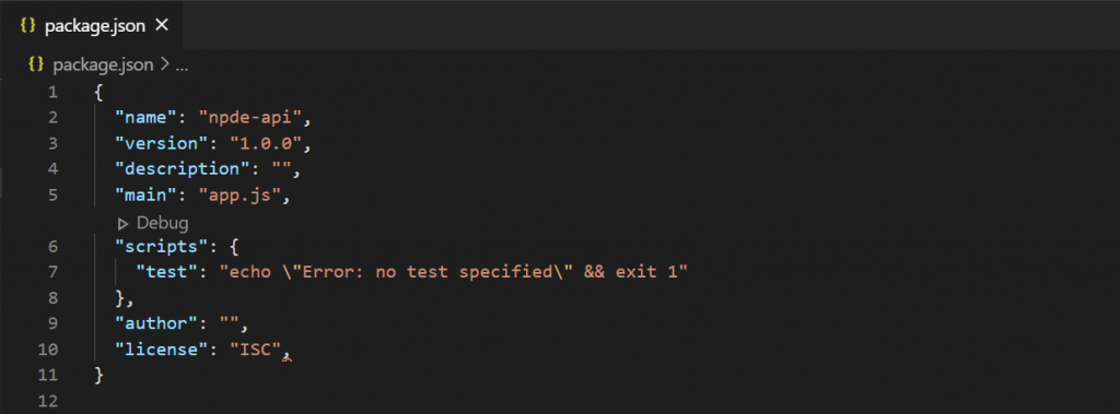 package.json
